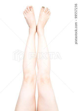 女人的腿 99557236