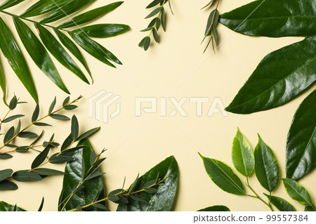 Concept of summertime, leaves, summer and nature concept Concept of summertime, leaves, summer and nature concept 99557384