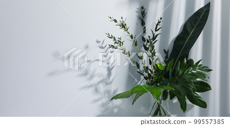 Concept of summertime, leaves, summer and nature concept Concept of summertime, leaves, summer and nature concept 99557385