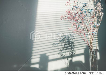 盲影和乾花 99557460