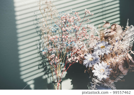 Blind shadows and dried flowers 99557462