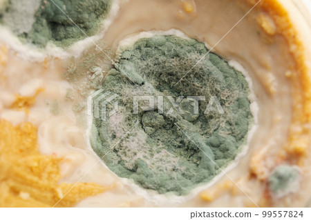 Jar with mold, close up and selective focus 99557824
