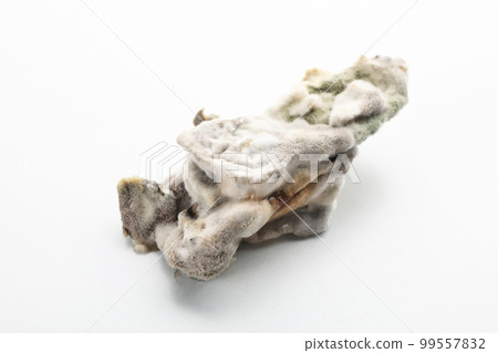 Food with mold on white background, close up 99557832