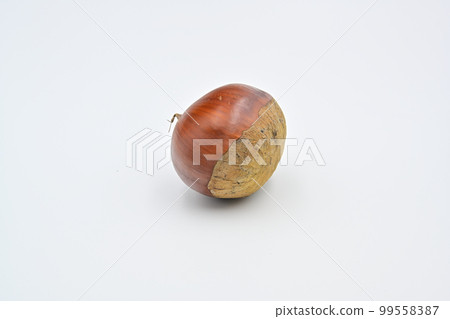 栗子 栗子 99558387