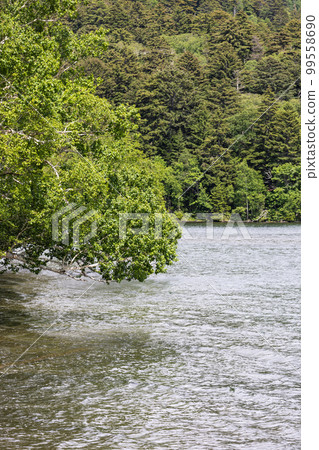 自然深沉的Onneto湖畔風景 99558690