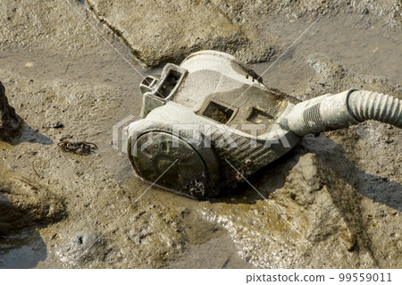 Garbage dumped illegally in the Fujimae tidal flat and crabs in the tidal flat Garbage dumped illegally in the Fujimae tidal flat and crabs in the tidal flat 99559011