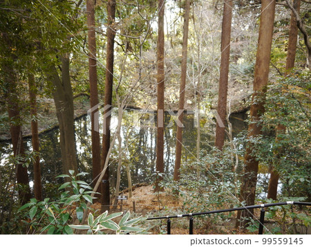 Mizunami Izumin (57 Tokyo's famous spring waters) Mizunami Izumin (57 Tokyo's famous spring waters) 99559145