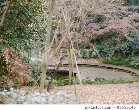 Shinjiro Pond (57 famous springs in Tokyo) Shinjiro Pond (57 famous springs in Tokyo) 99559146