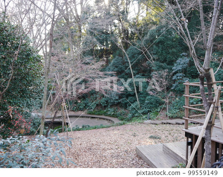 Shinjiro Pond (57 famous springs in Tokyo) Shinjiro Pond (57 famous springs in Tokyo) 99559149