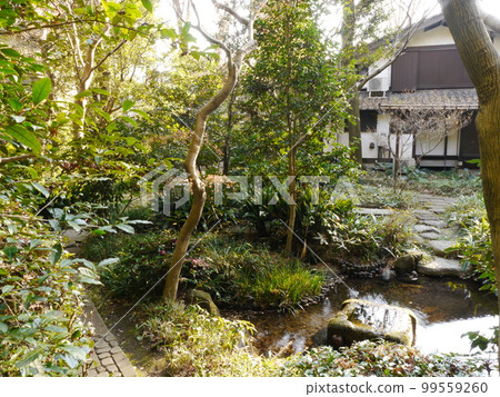 箱之森美術館（東京57名泉）庭園 99559260