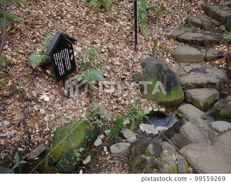 Mizunami Izumin (57 Tokyo's famous spring waters) Mizunami Izumin (57 Tokyo's famous spring waters) 99559269