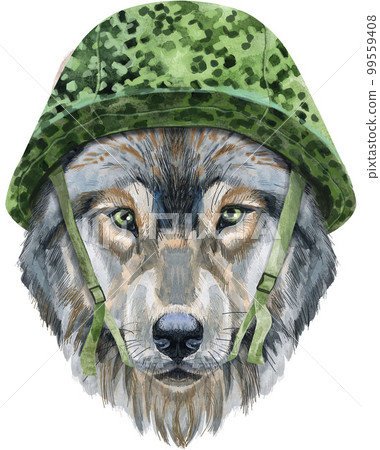 Wolf head in military tactical helmet. Watercolor wolf painting illustration isolated on white background Wolf head in military tactical helmet. Watercolor wolf painting illustration isolated on white background 99559408
