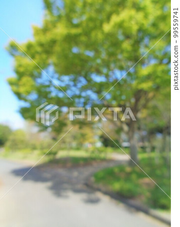 模糊的背景材料春天公園 99559741