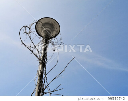 Color & Monotone *Retro outdoor light with vines 99559742