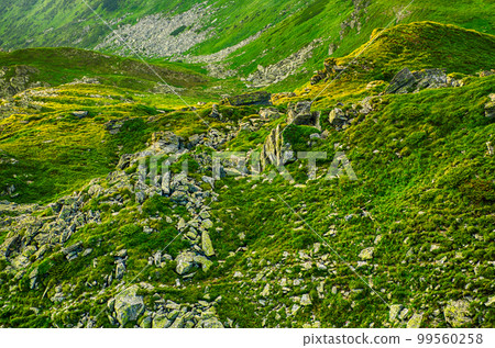 Carpathian mountain landscape Carpathian mountain landscape 99560258