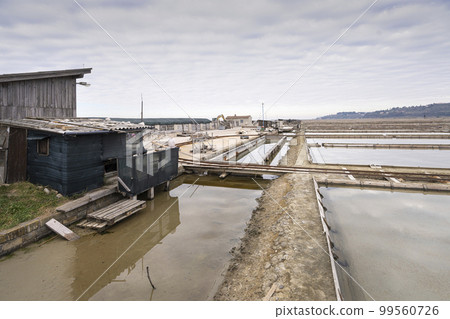 Secovlje salt pan, Slovenia 99560726