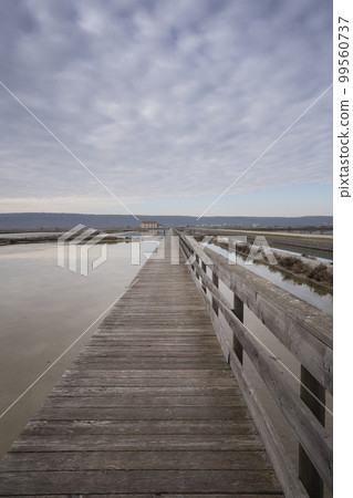 Secovlje salt pan, Slovenia 99560737