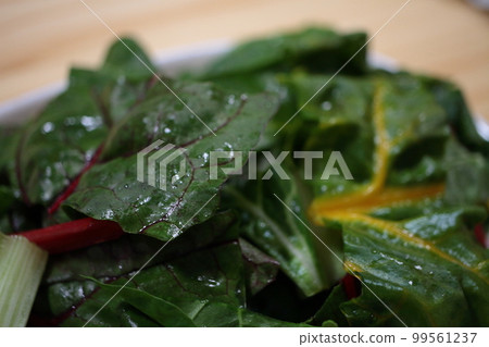 Fresh and delicious swiss chard with colorful reds, yellows and greens 99561237
