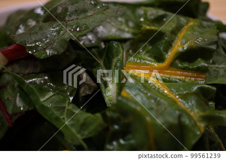 Fresh and delicious swiss chard with colorful reds, yellows and greens 99561239