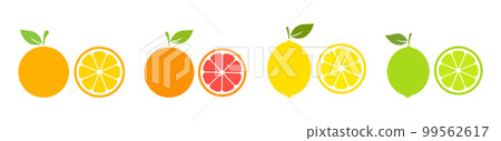 Whole citrus fruit with slices collection. 99562617