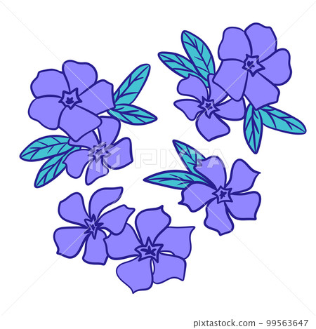 Hand drawn illustration of periwinkle blue violet flowers with green leaves. Natural wild forest flowers in floral decorative style, wood woodland nature plant, bloom blossom drawing leaf foliage. 99563647
