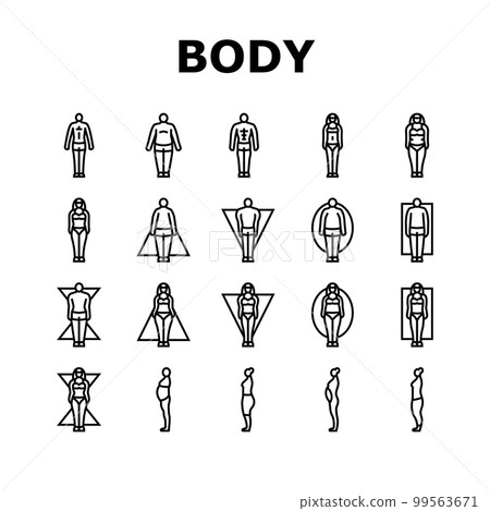body human anatomy figure icons set vector 99563671