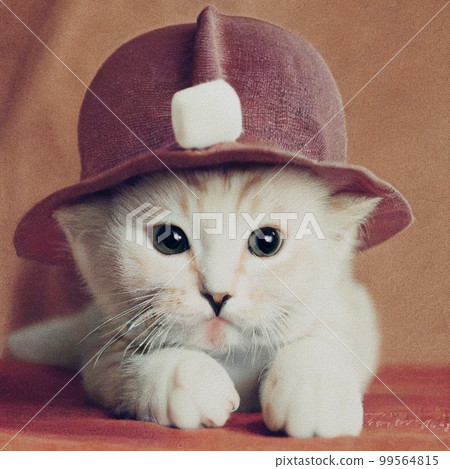 Little Cate with a hat 99564815