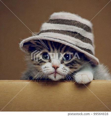 Little Cat with a hat Little Cat with a hat 99564816