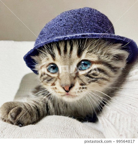 Little Cat with a hat 99564817