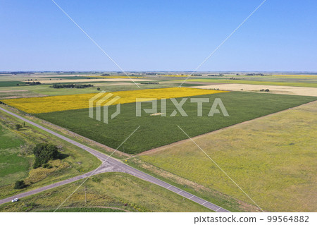 Corn cultivation, Buenos Aires Province, Argentina. Corn cultivation, Buenos Aires Province, Argentina. 99564882
