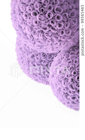 Round balls of red roses 99565465