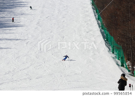 滑雪場景觀、藍天背景和森林 99565854