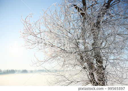 Rime and air storm 99565897