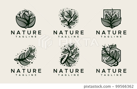 Elegance ornament floral leaf logo design template Elegance ornament floral leaf logo design template 99566362