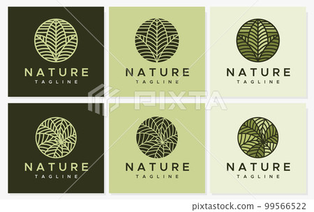 Leaf line circle logo design set. 99566522