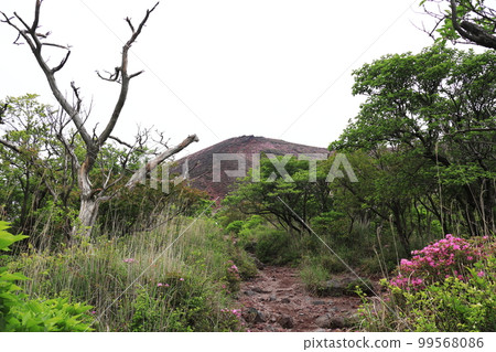 The beautiful red mountain of Ohachi The beautiful red mountain of Ohachi 99568086
