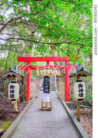 Shirahama Shrine main shrine torii (vertical) Shirahama Shrine main shrine torii (vertical) 99568343
