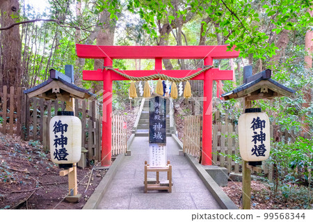 Shirahama shrine main shrine torii Shirahama shrine main shrine torii 99568344