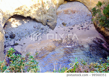 心形海灘 心形海灘 99568351