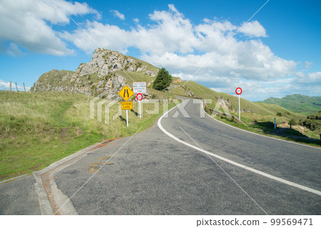 Road to the summit of Te Mata Peak, Hawke's bay region, New Zealand. 99569471