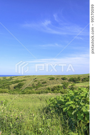 Hokkaido Soya hills 99570099