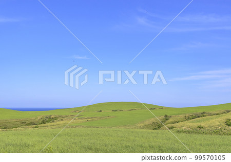 北海道大豆山 北海道大豆山 99570105