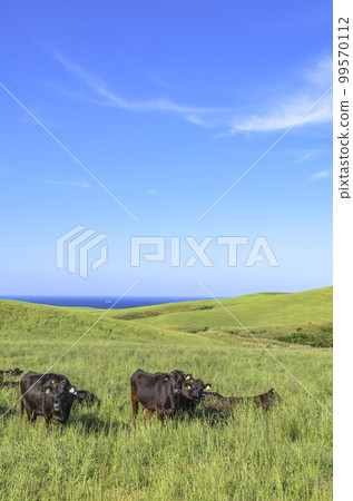 Hokkaido Soya hills 99570112