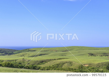 北海道大豆山 99570115