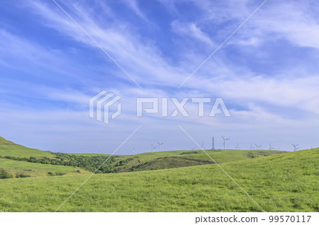 北海道大豆山 99570117
