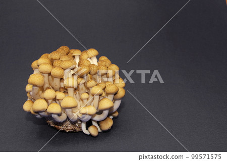 Promote health with shimeji mushrooms Promote health with shimeji mushrooms 99571575
