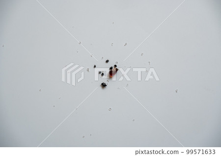 Several sap crystals, large and small, stacked together. Several sap crystals, large and small, stacked together. 99571633