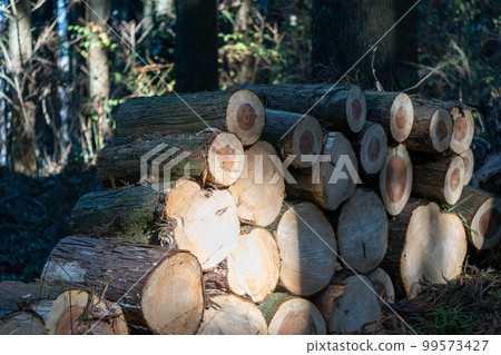 神場山和高尾山經由神場山登山口 神場山和高尾山經由神場山登山口 99573427