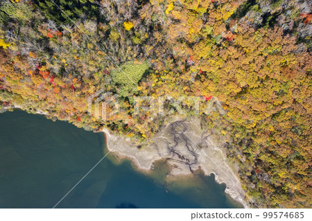 Aerial shot of Lake Eniwa in autumn with a drone (true bird's-eye view) 99574685