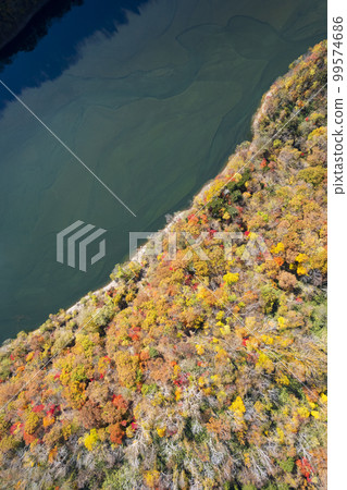 Aerial shot of Lake Eniwa in autumn with a drone (true bird's-eye view) 99574686